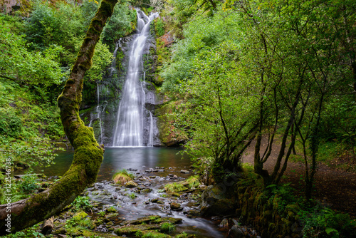 Waterfall and mossy tree photo