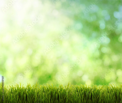 abstract summer natural background with place for your text