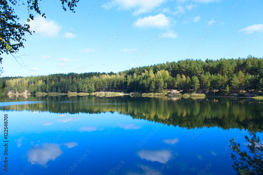 Obraz premium lake in the forest
