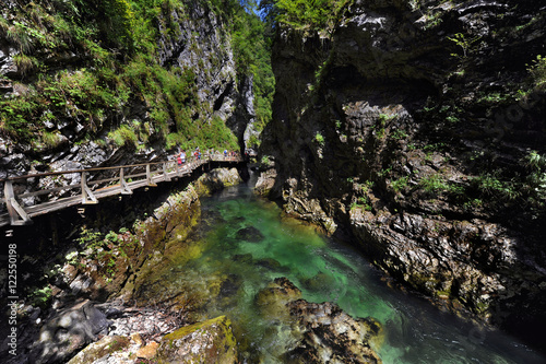 The famous Vintgar gorge with wooden path near lake Bled  Slovenia