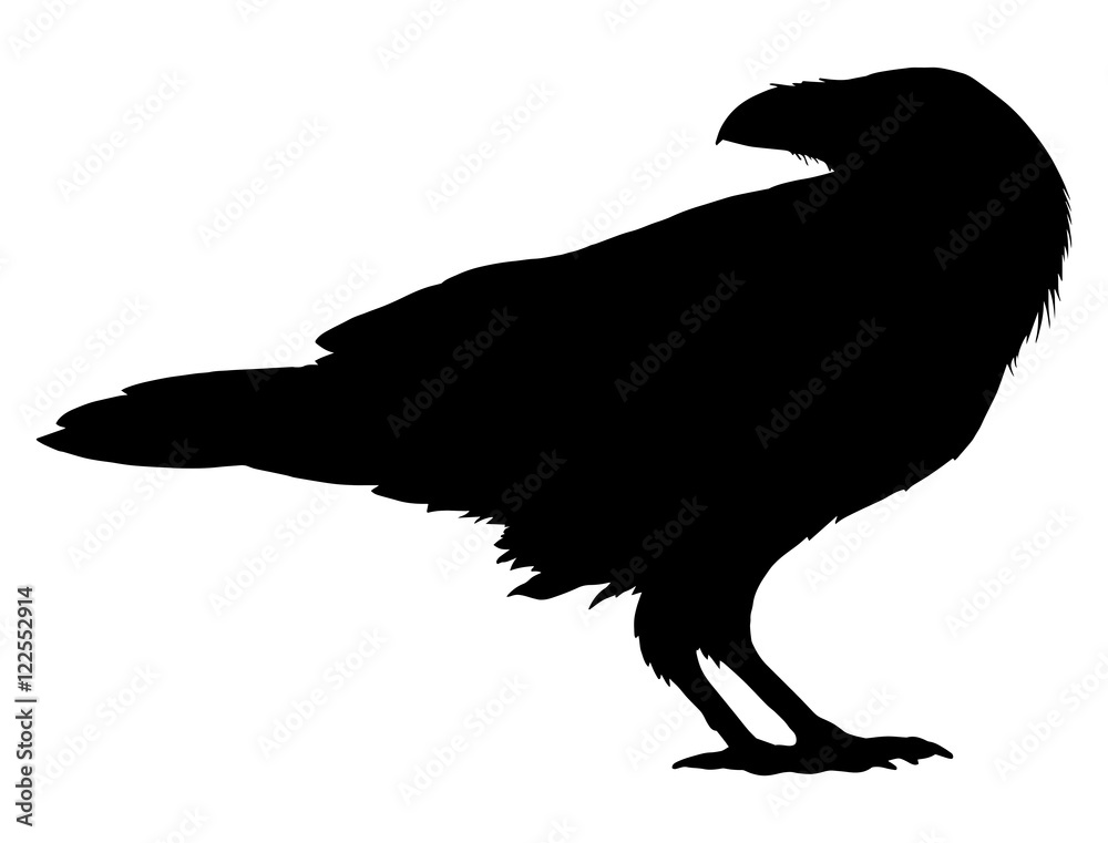 Fototapeta premium Stylized crows. Decorative bird. Line art. Rook. Black and white drawing by hand. Doodle. Zentangle. Tattoo. Graphic arts.