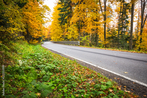 Autumn landscape with road and beautiful colored trees photo
