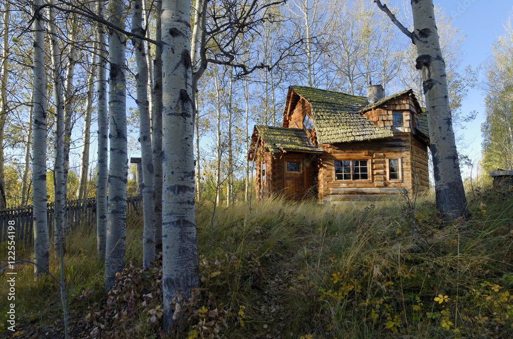 Funky log cabin, 83 Mile House, Cariboo region, British Columbia, Canada Funky log cabin, 83 Mile House, Cariboo region, British Columbia, Canada