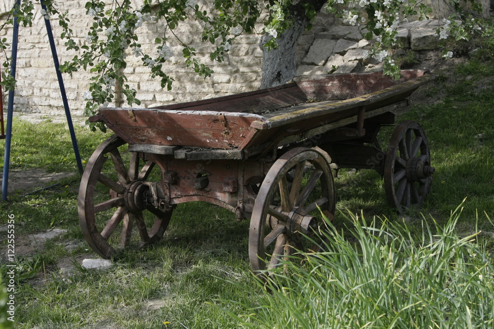 Fototapeta premium телега конная