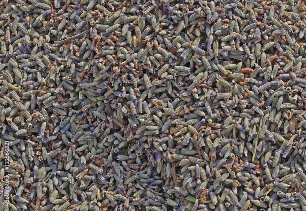 Lavender displayed on a local market in Southern France