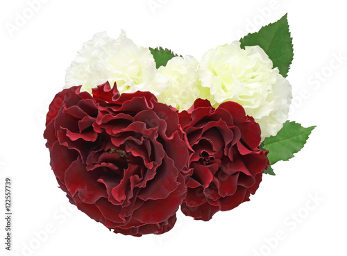 Wallpaper Mural 薔薇 Torontodigital.ca