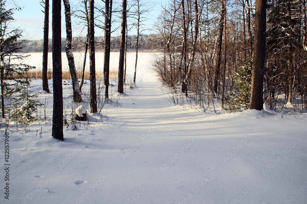 Countryside winter landscape