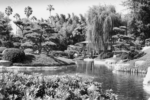 Japanese Style Garden with Pond  2