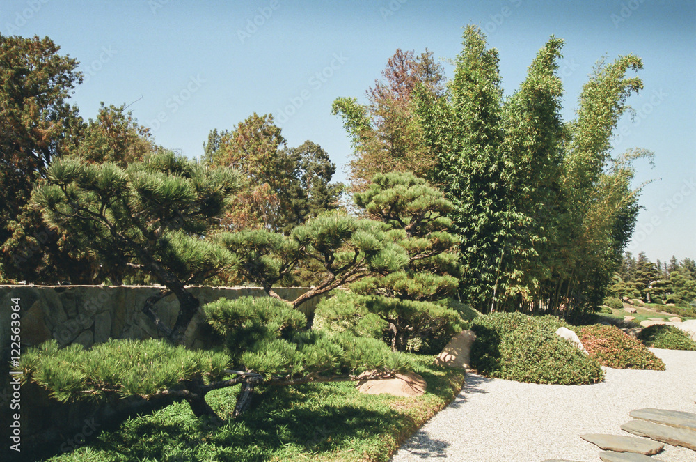 Japanese Style Garden #2