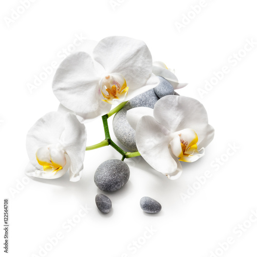 Fototapeta Naklejka Na Ścianę i Meble -  White orchid flowers and spa stones