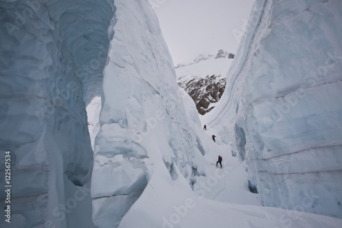 A group of people ski touring in the Canadian Rockies backcountry. Icefall Lodge, British Columbia, Canada photo