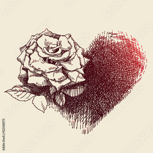 Rose drawing.
Hand drawn vector illustration of a rose and its heart shaped shadow, in retro style.

