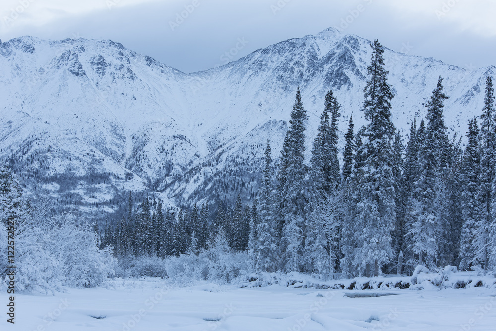 The mountains of the Wheaton River Valley, outside of Whitehorse, Yukon. The mountains of the Wheaton River Valley, outside of Whitehorse, Yukon.
