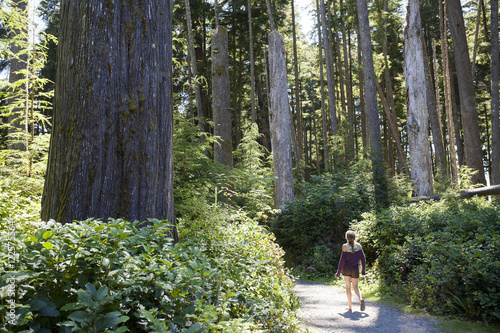 A young woman walks along a forest trail at the China Beach day-use area in Juan de Fuca Provincal Park. Vancouver Island, BC, Canada. photo