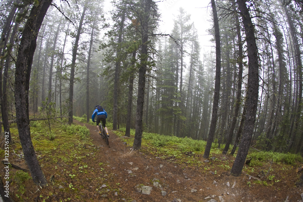 A mountain biker riding single track track of Jumping Pond Ridge in Kananaskis country, AB A mountain biker riding single track track of Jumping Pond Ridge in Kananaskis country, AB