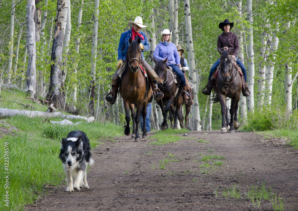Horseback riding near Merritt, British Columbia, Canada. Horseback riding near Merritt, British Columbia, Canada.