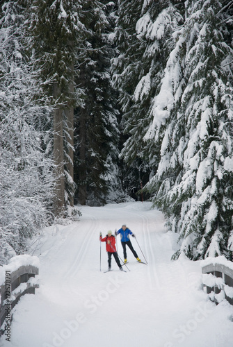 Cross country skiers Maria Lundgren and Akiko Clarke skate the trails at Lost Lake park in Whistler, BC photo