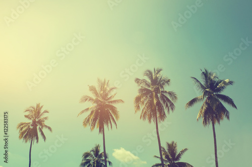Palm trees at tropical coast, vintage toned and film stylized © bongkarn