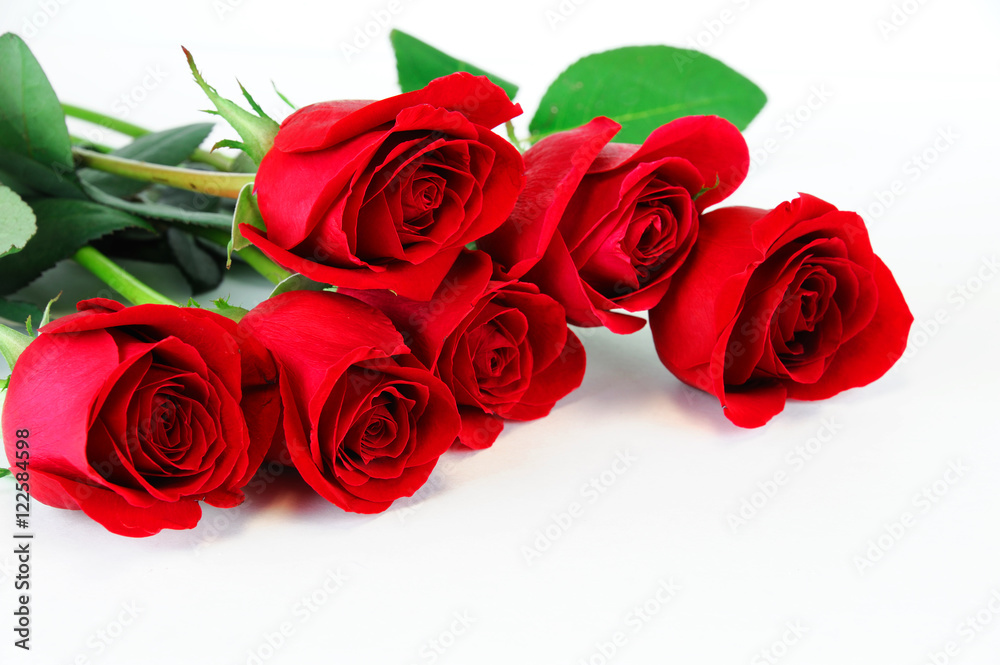 Fototapeta premium red roses laying on white background