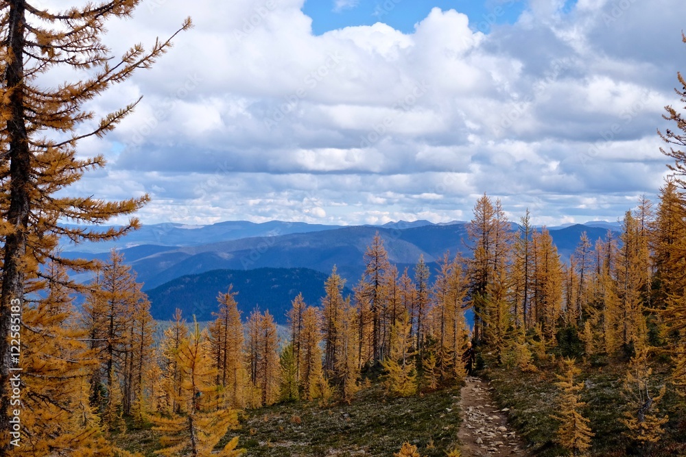 Road through yellow autumn forest to mountains. Manning Provincial Park. Frosty Mountain. Hope. British Columbia. Canada