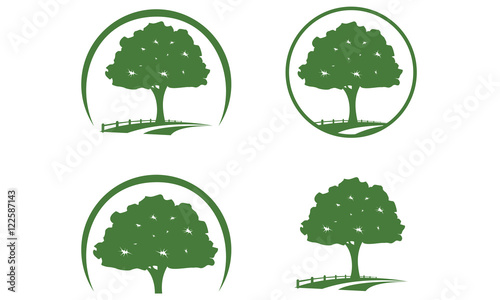 oak, tree, leaf vol.3 logo design 

