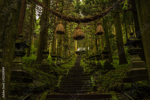 Wallpaper Mural Mysterious Japanese Shrine