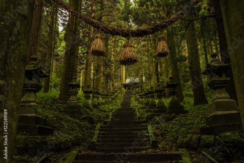 Mysterious Japanese Shrine photo