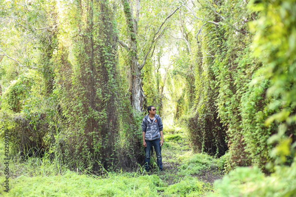 Man and Green Wetland Forest in Rayong at Thailand