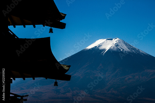 Mt Fuji with Tower