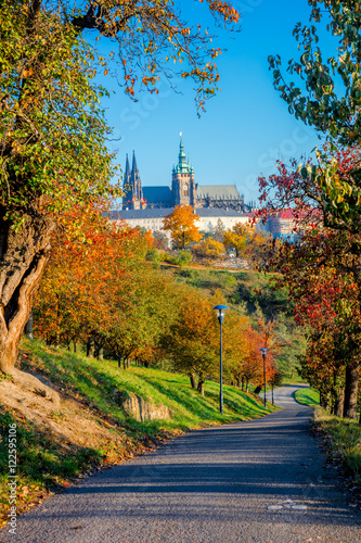 Sunny day in Prague park, colorful autumn season
