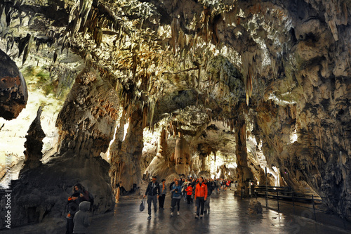 Stalactites and stalagmites inside the Postojna cave (Postojna Jama), Slovenia  photo