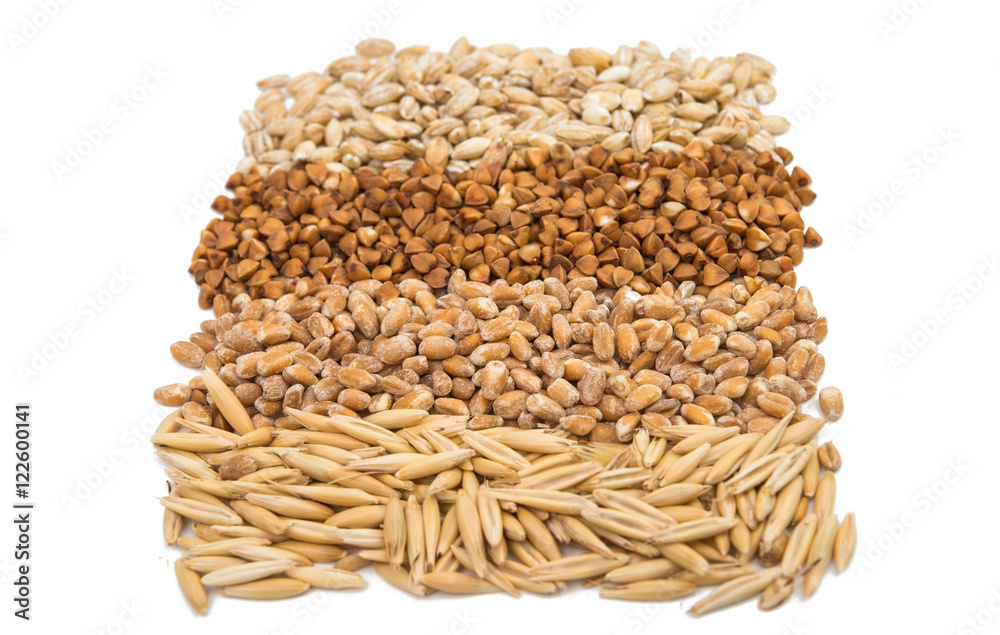 background buckwheat, barley, wheat, oats background buckwheat, barley, wheat, oats