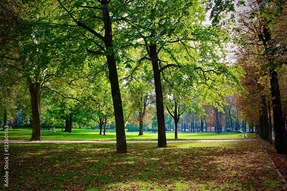 Naklejka premium Bosquets automnals d'un parc à Paris, France