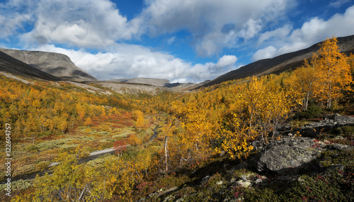 Panoramic view of colorful autumn taiga forest with birch, spruce and mountain ash trees in brook valley of Hibiny mountains above the Arctic Circle, Russia