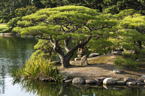One of the top three most beautiful gardens in Japan, Korakuen lies to the south of Okayama Castle and was commissioned by daimyo Ikeda Tsunamasa in 1686.  photo