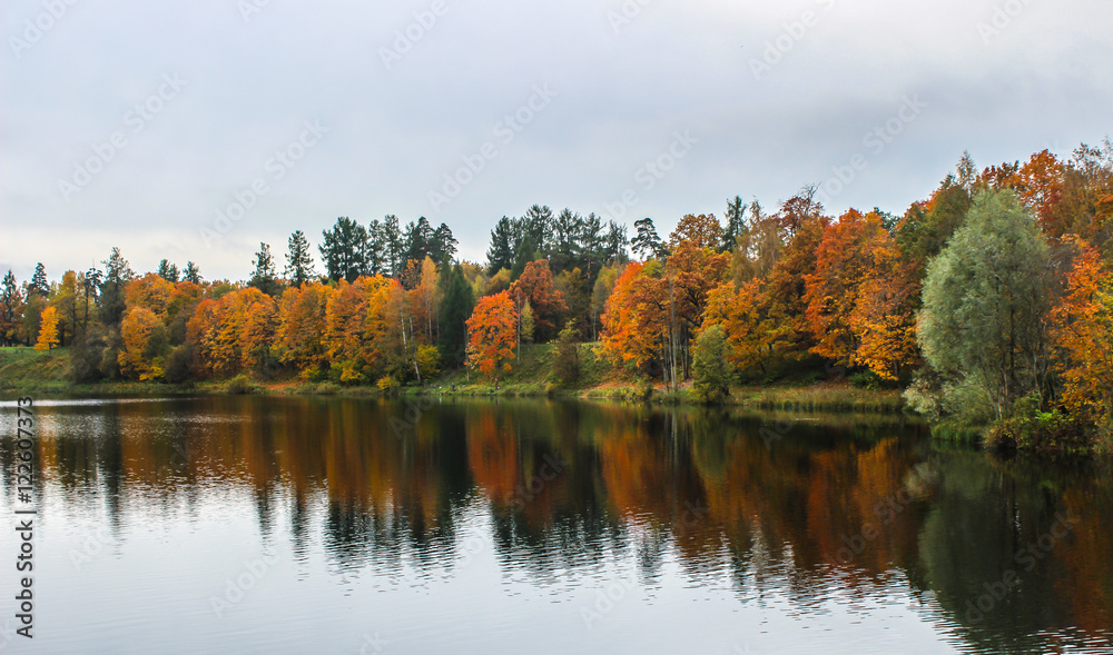 Autumn landscape. Park with lake.