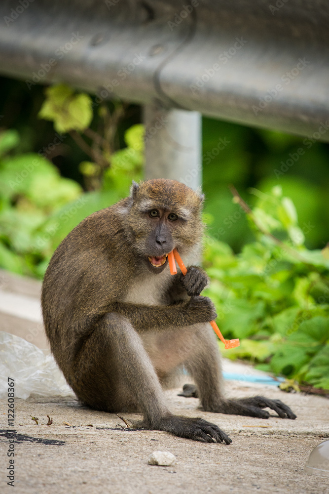 Monkey Bites tube waste