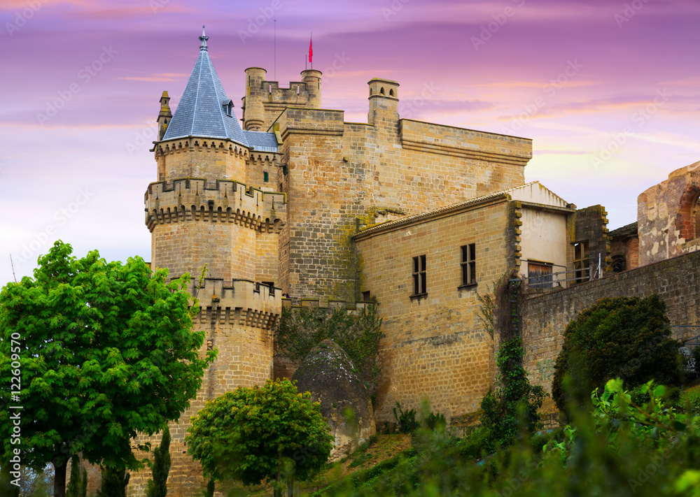Castle  in  evening.  Spain
