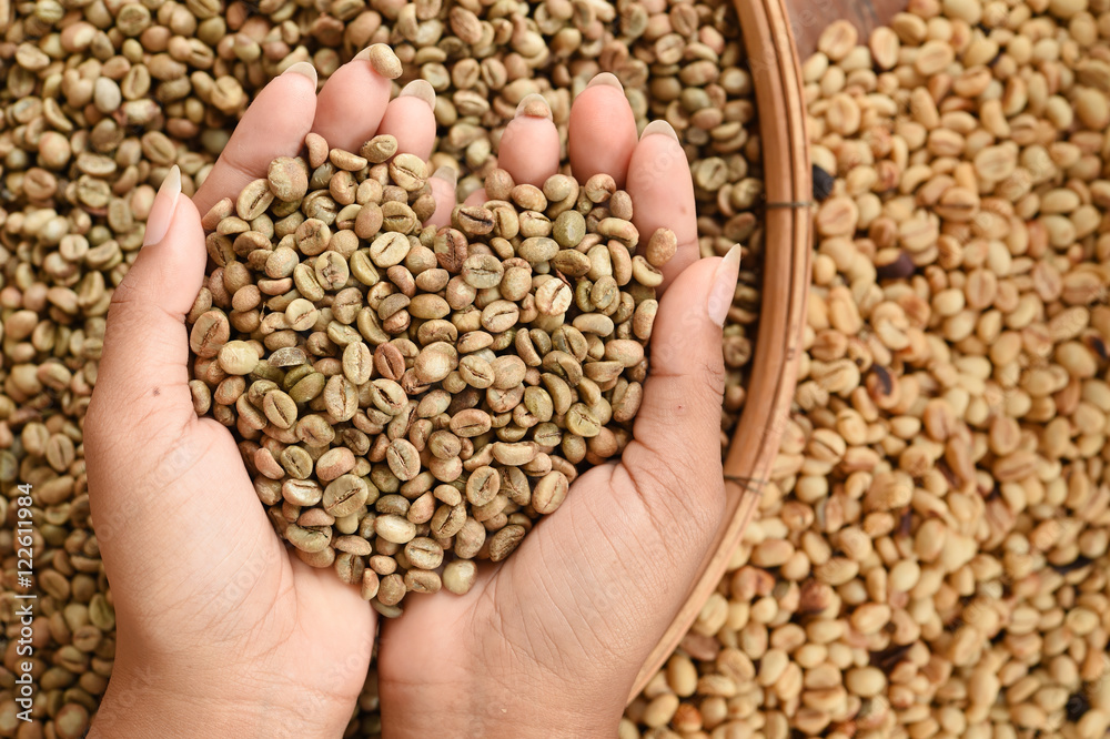 Close up of coffee beans on hand Close up of coffee beans on hand