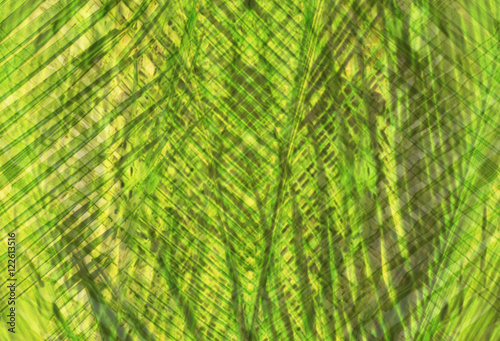 Green background made of pattern with palm tree leaves