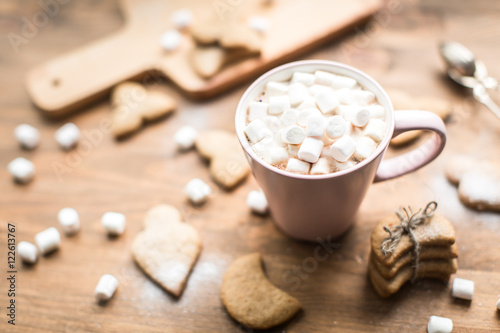 Hot cocoa with marshmallows air and ginger cookies