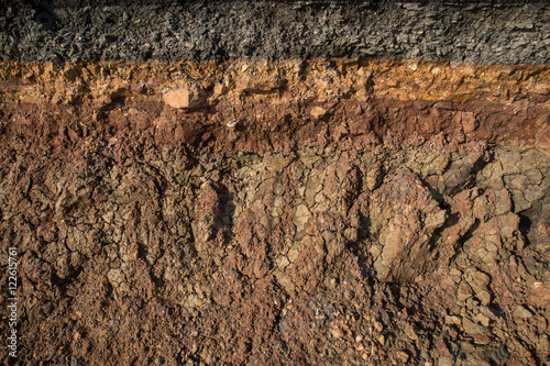 The curb erosion from storms. To indicate the layers of soil and