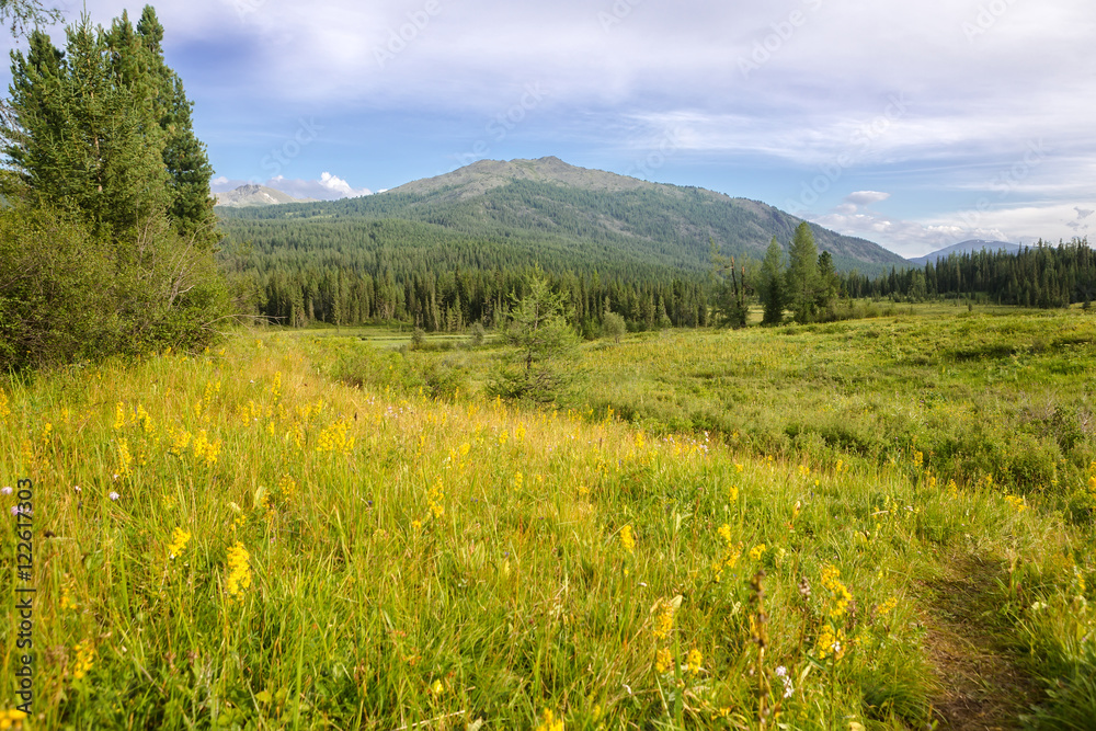 Beautiful mountains landscape in Carpathian