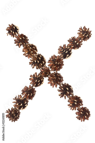 X letter made of pine cone