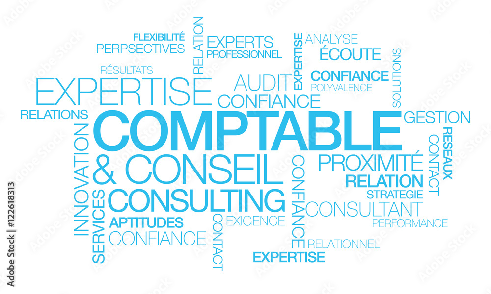 Fototapeta premium Expertise Comptable conseil consulting nuagede mots bleu texte consultant audit expert comptabilité