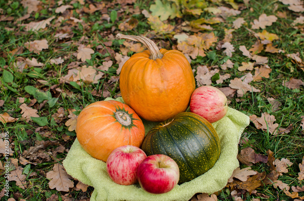 Fototapeta premium Pampkins with fall leaves