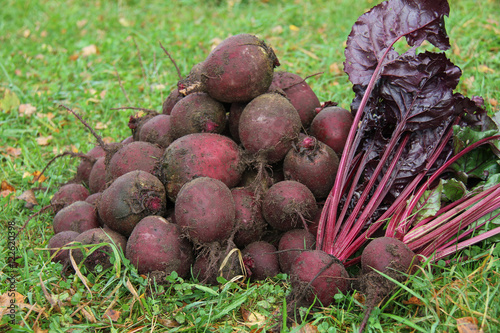 A pile of beets