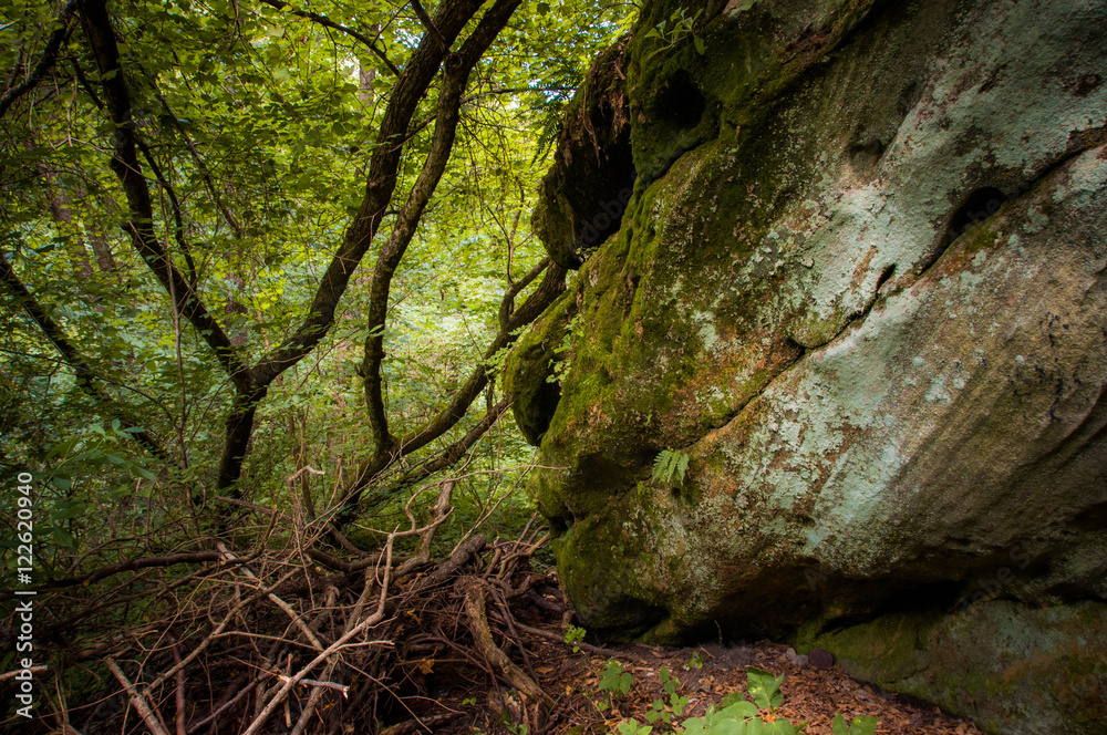 Magical forest huge stones Magical forest huge stones