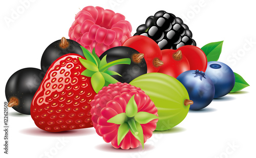 group of strawberry, blueberry, raspberry, blackberry, black and red currant