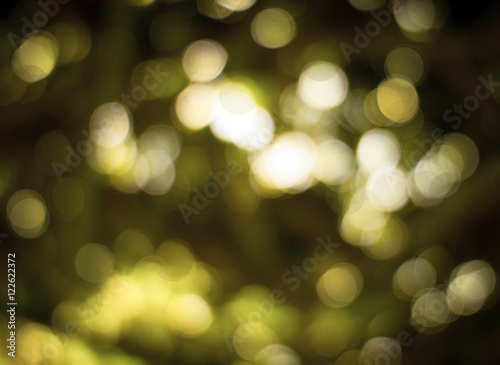 green natural bokeh background, bokeh from tree and light at nig
